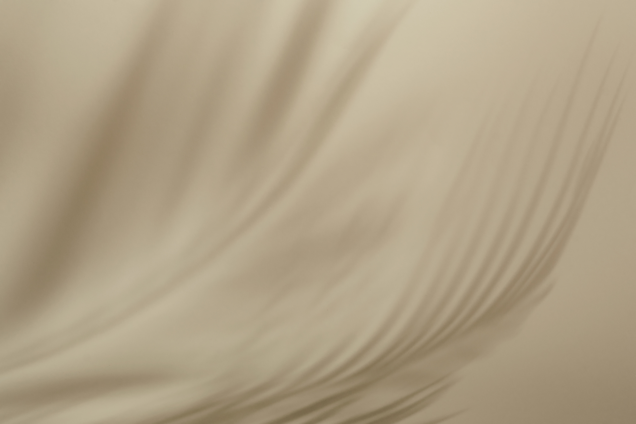 Natural Palm Leaves Shadow on Beige Paper Background. Abstract Neutral Tropical Backdrop. Soft Light